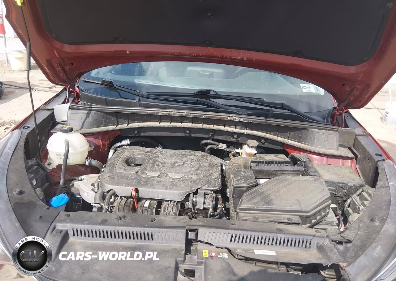 2020 Hyundai Tucson Ultimate VIN:KM8J3CAL0LU245329 - 10