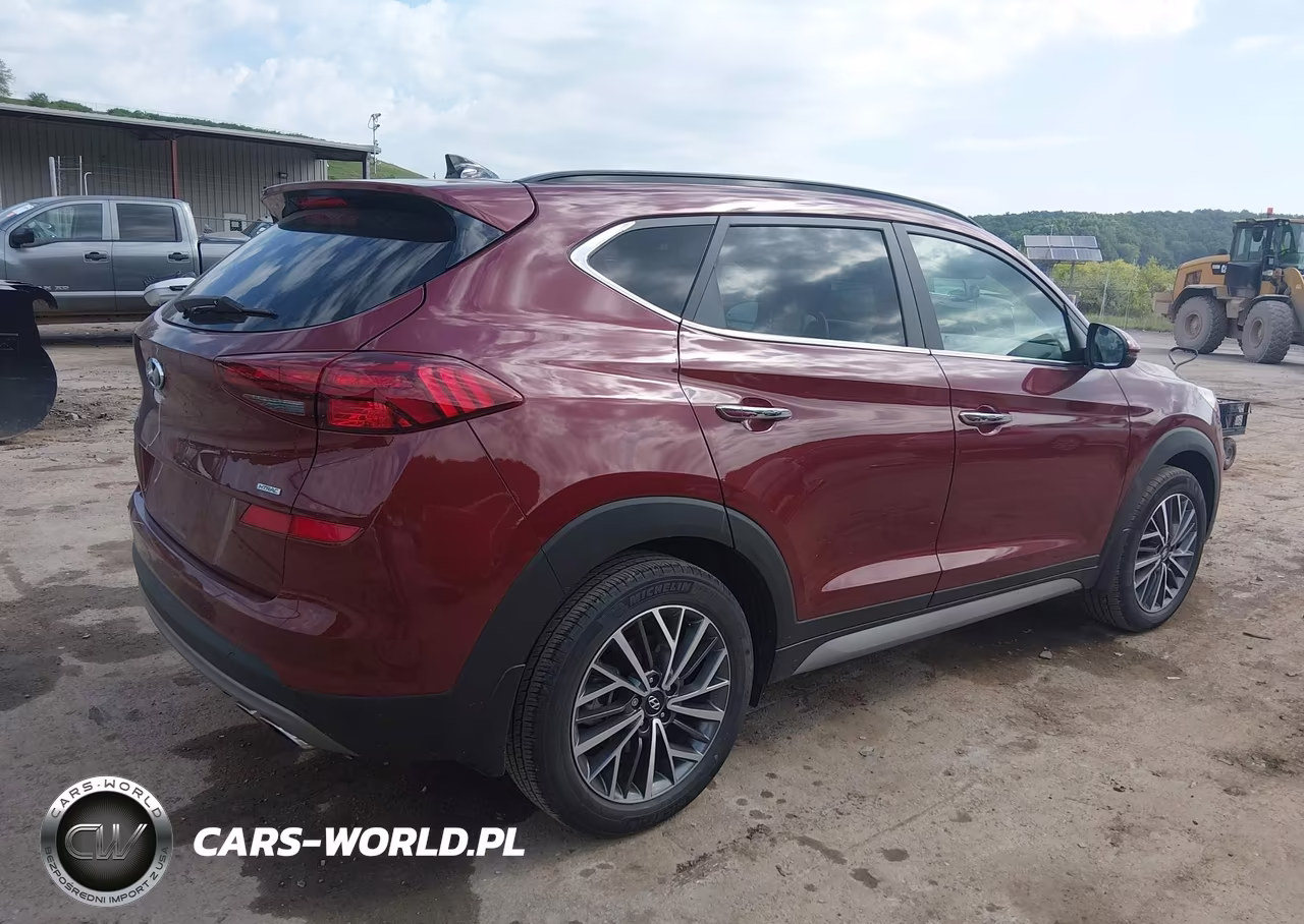 2020 Hyundai Tucson Ultimate VIN:KM8J3CAL0LU245329 - 4