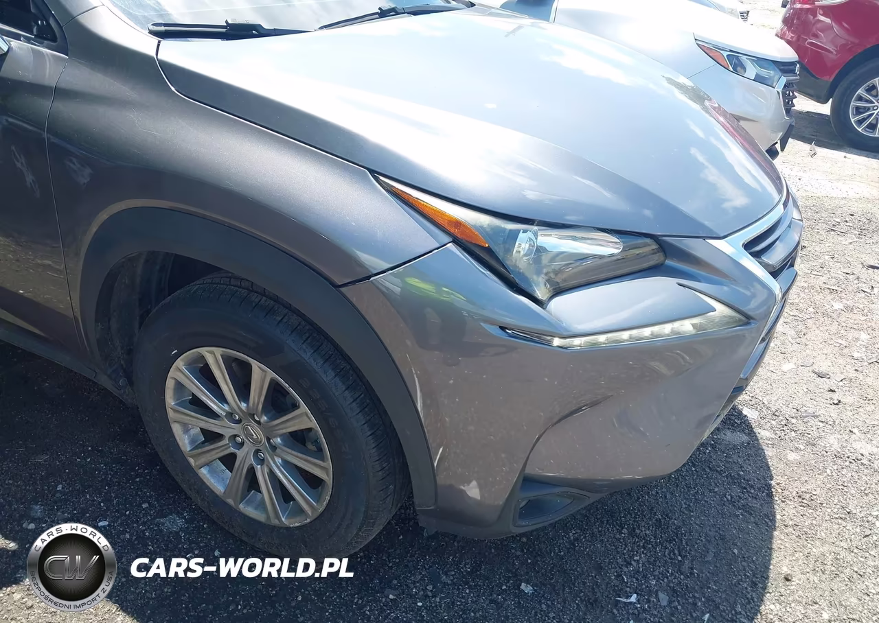2016 Lexus Nx 200T VIN:JTJYARBZ8G2043318 - 6