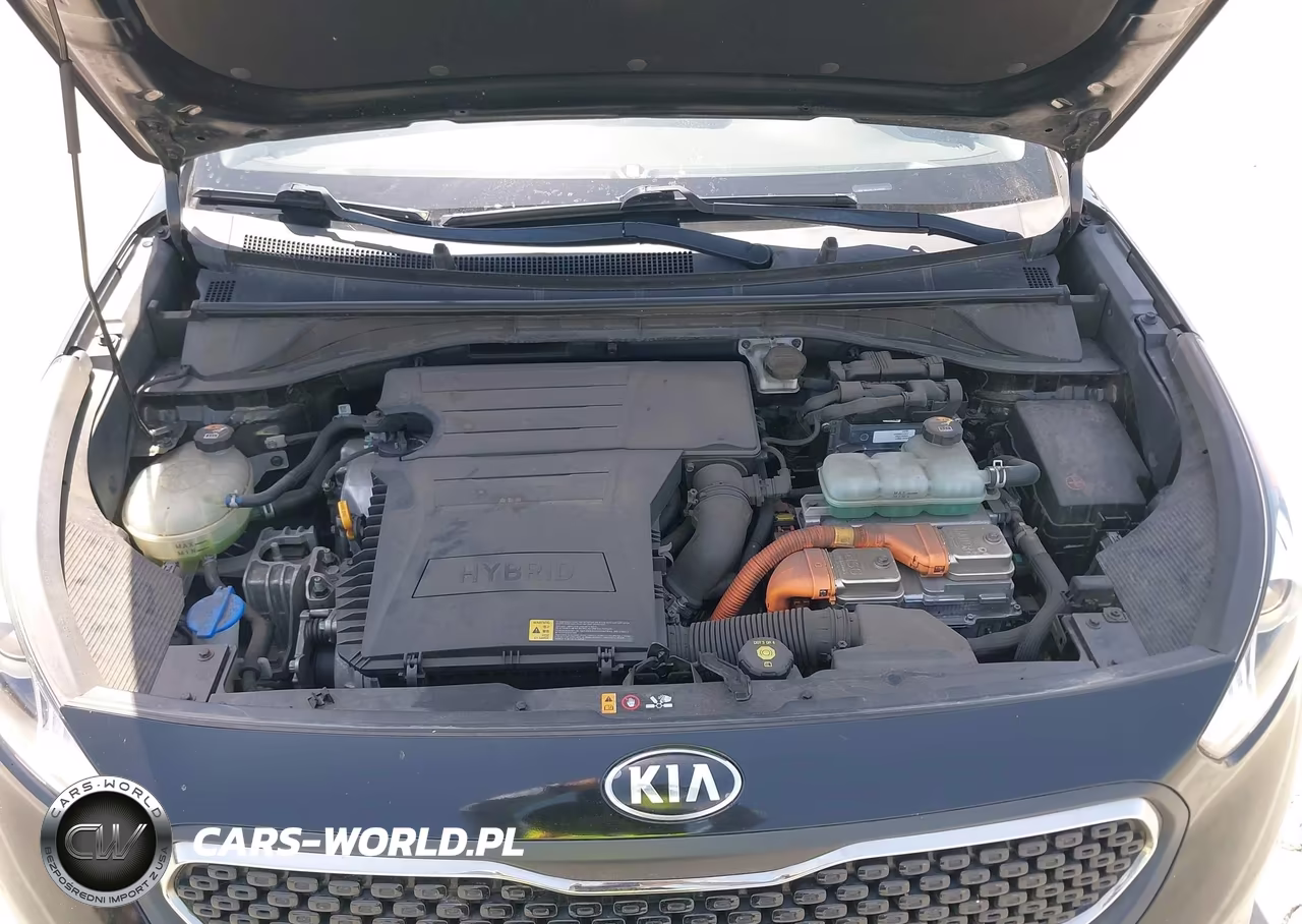 2019 Kia Niro Lx VIN:KNDCB3LC7K5294999 - 10