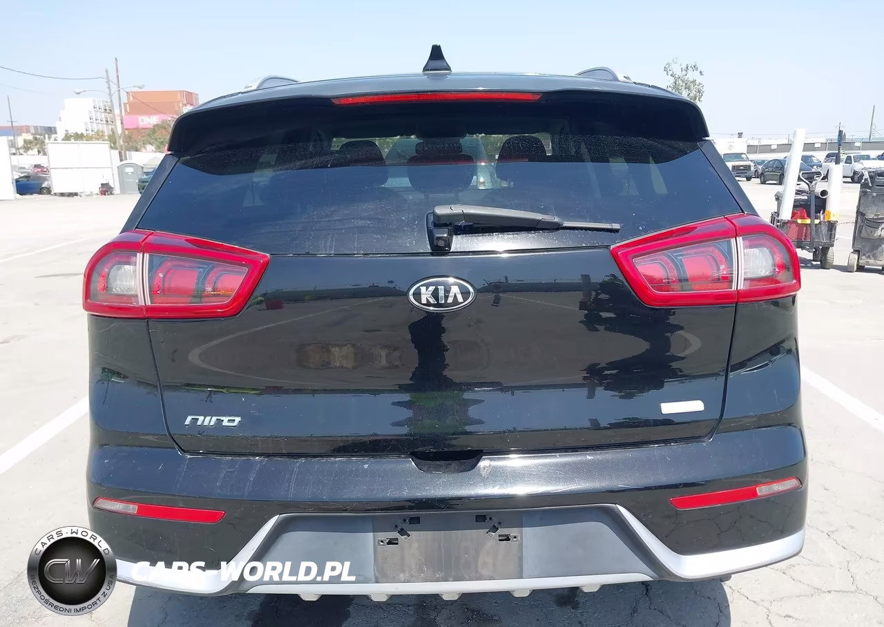 2019 Kia Niro Lx VIN:KNDCB3LC7K5294999 - 16