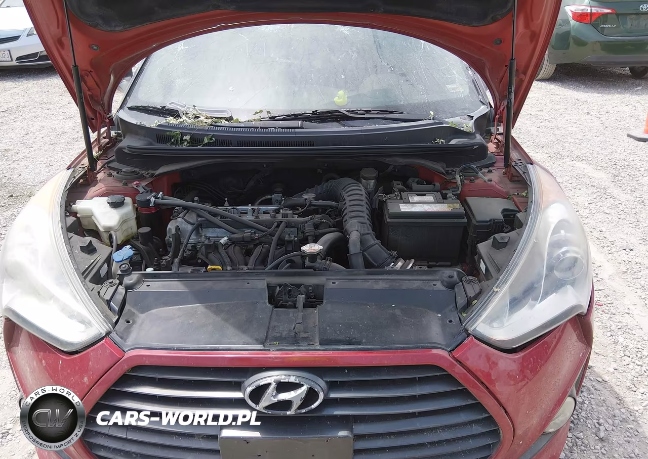 2013 Hyundai Veloster Turbo W-Black VIN:KMHTC6AE9DU153391 - 10