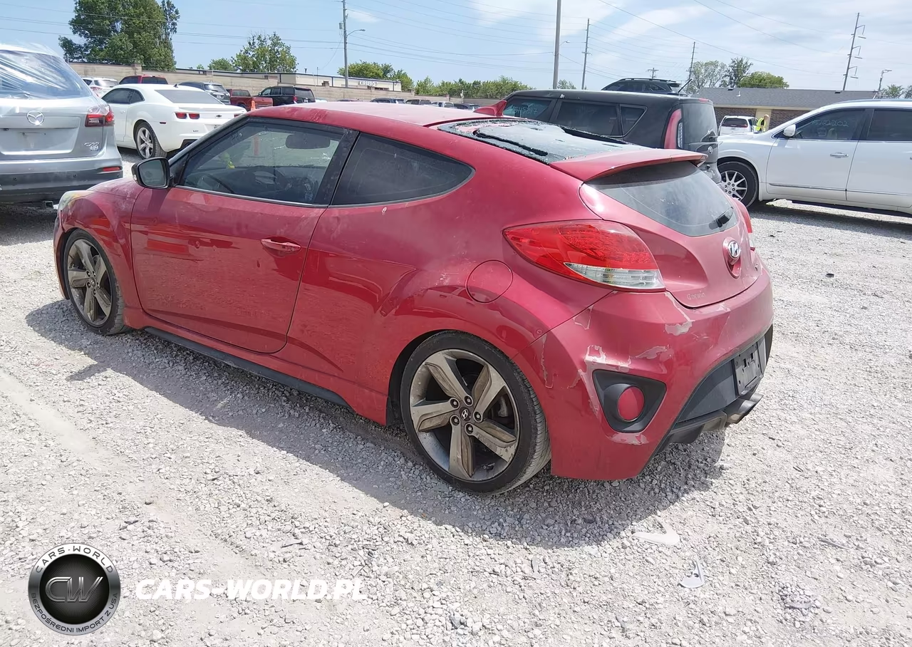 2013 Hyundai Veloster Turbo W-Black VIN:KMHTC6AE9DU153391 - 3