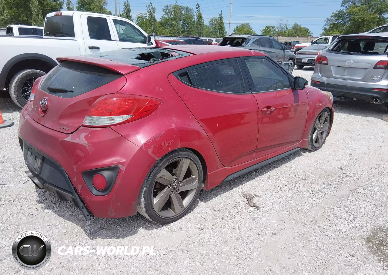 2013 Hyundai Veloster Turbo W-Black VIN:KMHTC6AE9DU153391 - 4