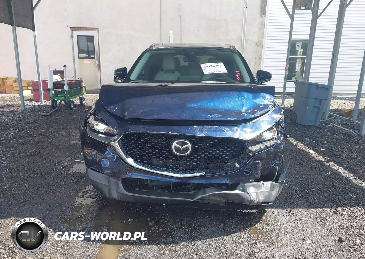 2022 Mazda Cx-30 Premium VIN:3MVDMBDL7NM412568 - 12