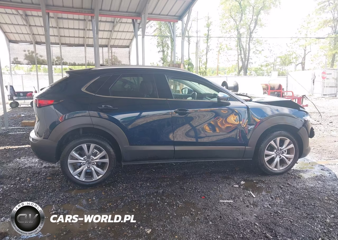 2022 Mazda Cx-30 Premium VIN:3MVDMBDL7NM412568 - 13