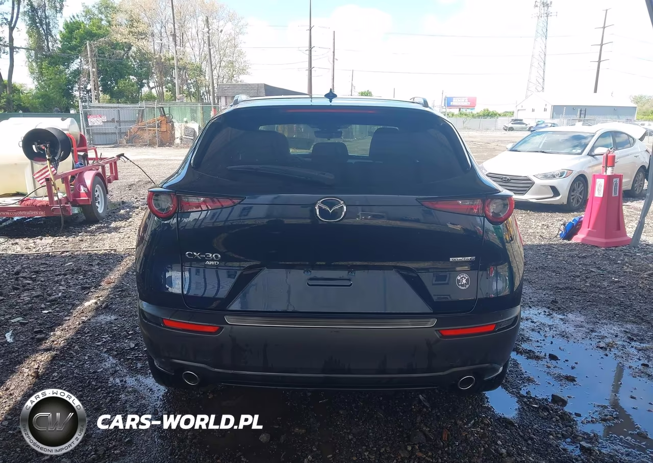 2022 Mazda Cx-30 Premium VIN:3MVDMBDL7NM412568 - 16