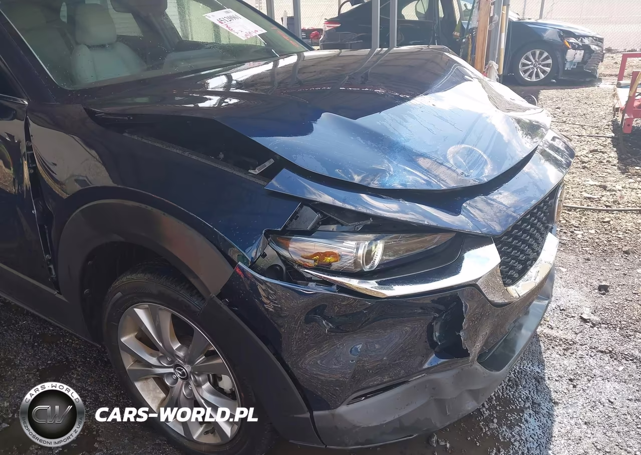2022 Mazda Cx-30 Premium VIN:3MVDMBDL7NM412568 - 17
