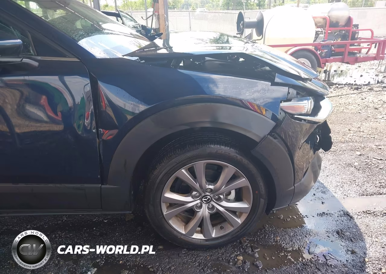2022 Mazda Cx-30 Premium VIN:3MVDMBDL7NM412568 - 18