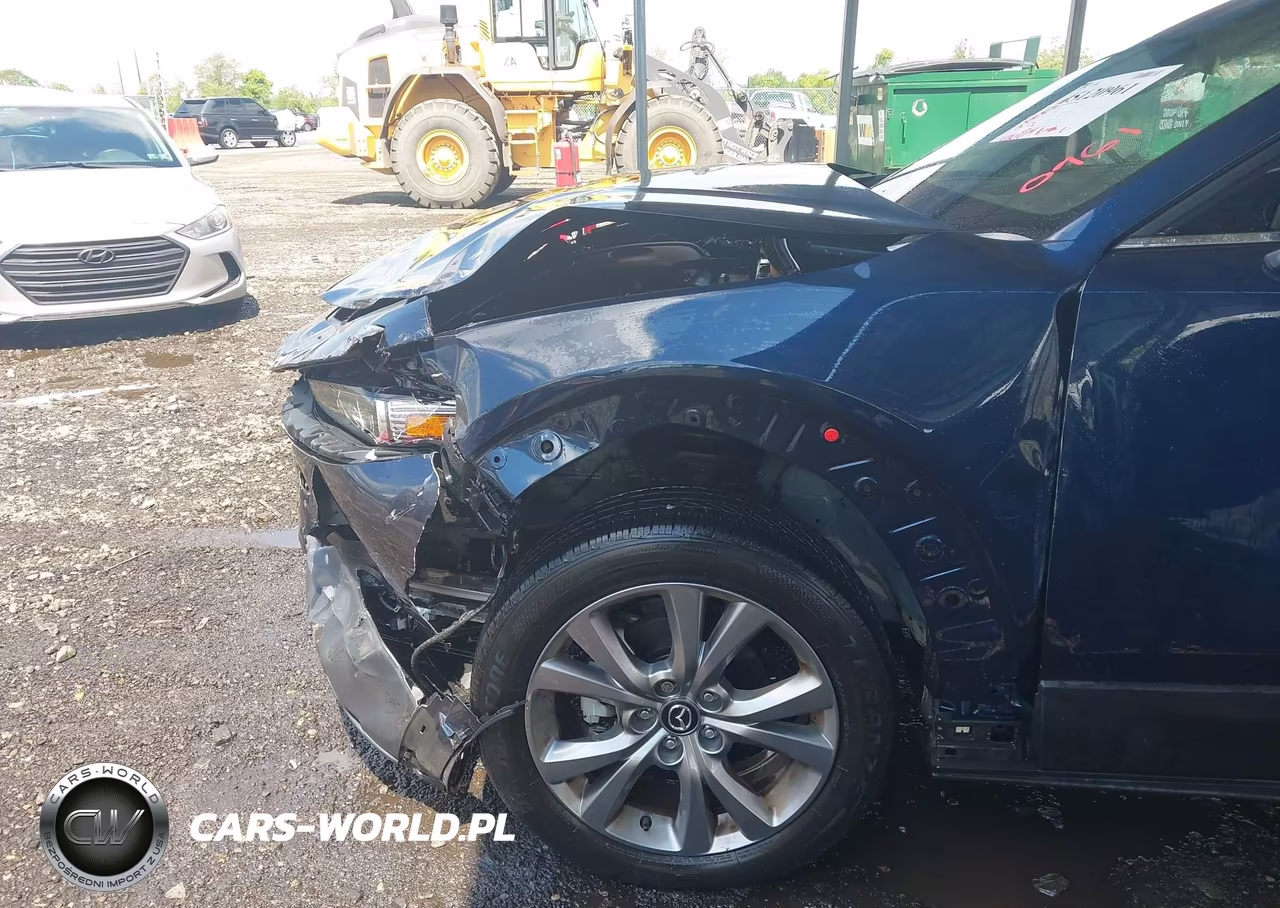 2022 Mazda Cx-30 Premium VIN:3MVDMBDL7NM412568 - 19