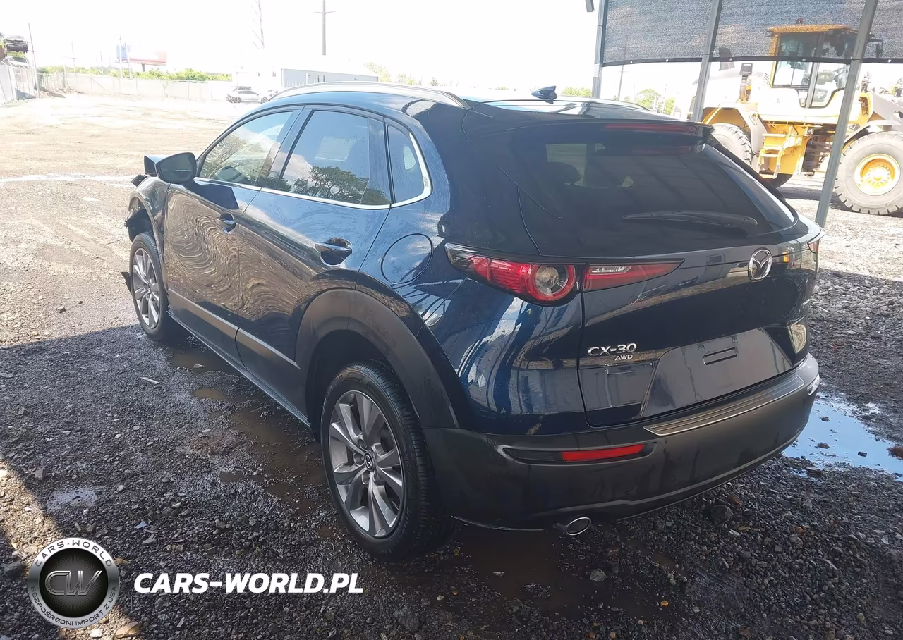 2022 Mazda Cx-30 Premium VIN:3MVDMBDL7NM412568 - 3
