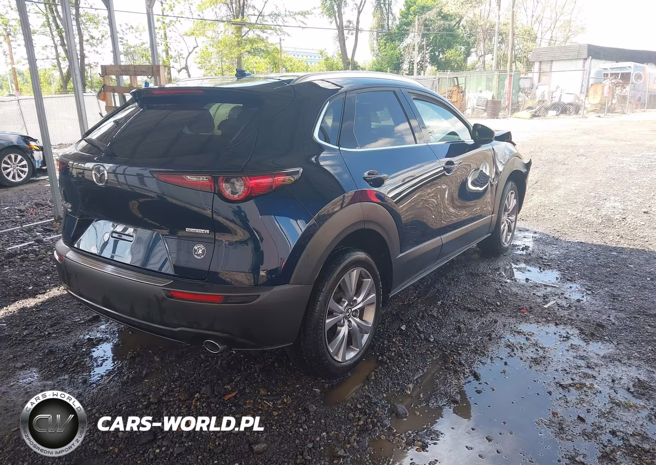 2022 Mazda Cx-30 Premium VIN:3MVDMBDL7NM412568 - 4