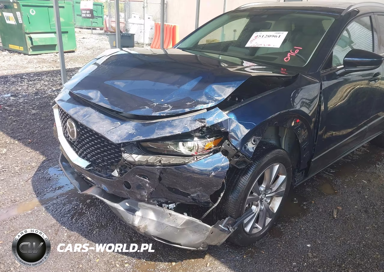 2022 Mazda Cx-30 Premium VIN:3MVDMBDL7NM412568 - 6