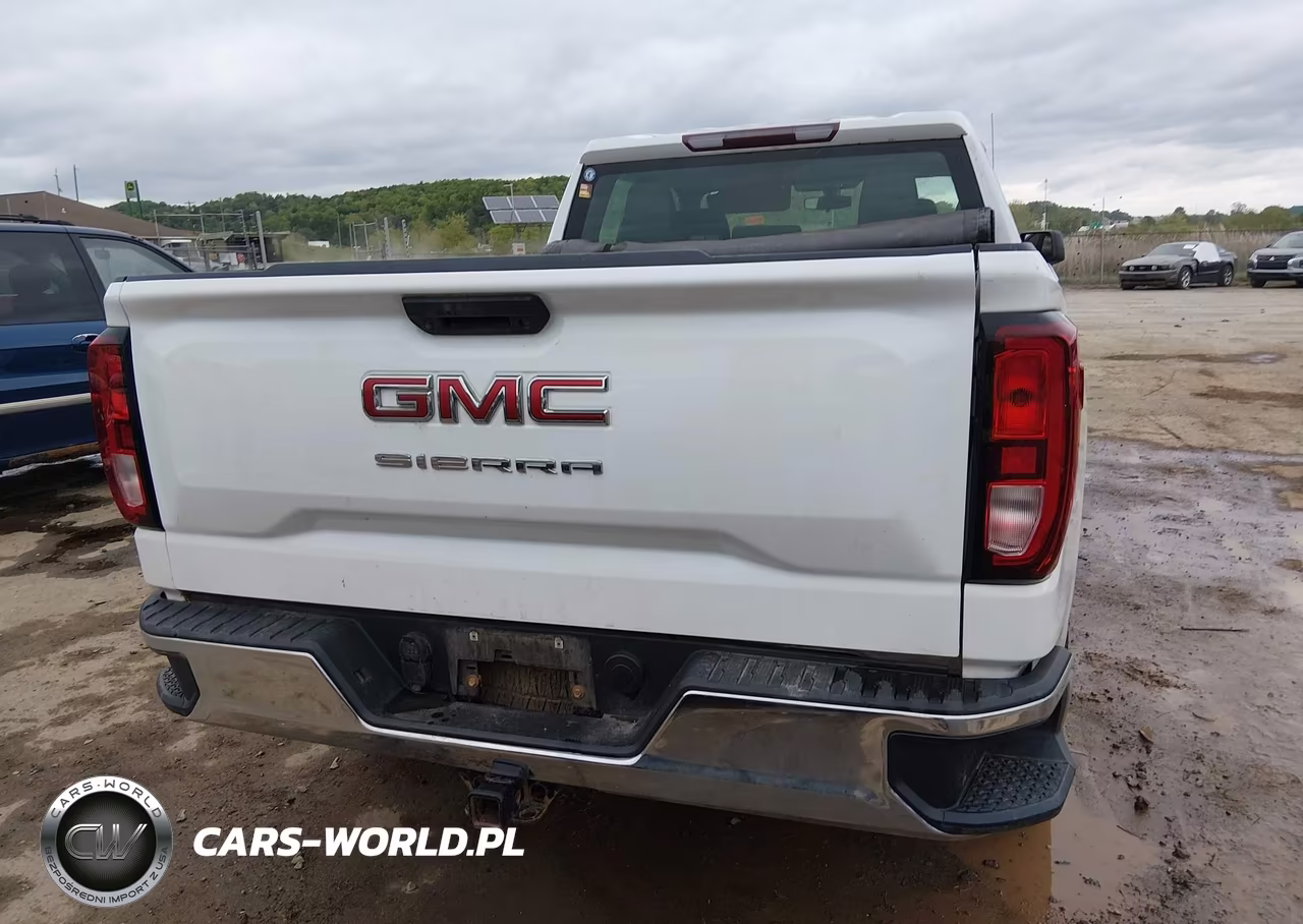 2020 GMC Sierra 1500 4Wd Standard Box VIN:1GTR9AEH0LZ159084 - 16