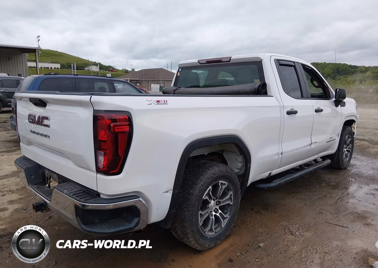 2020 GMC Sierra 1500 4Wd Standard Box VIN:1GTR9AEH0LZ159084 - 4