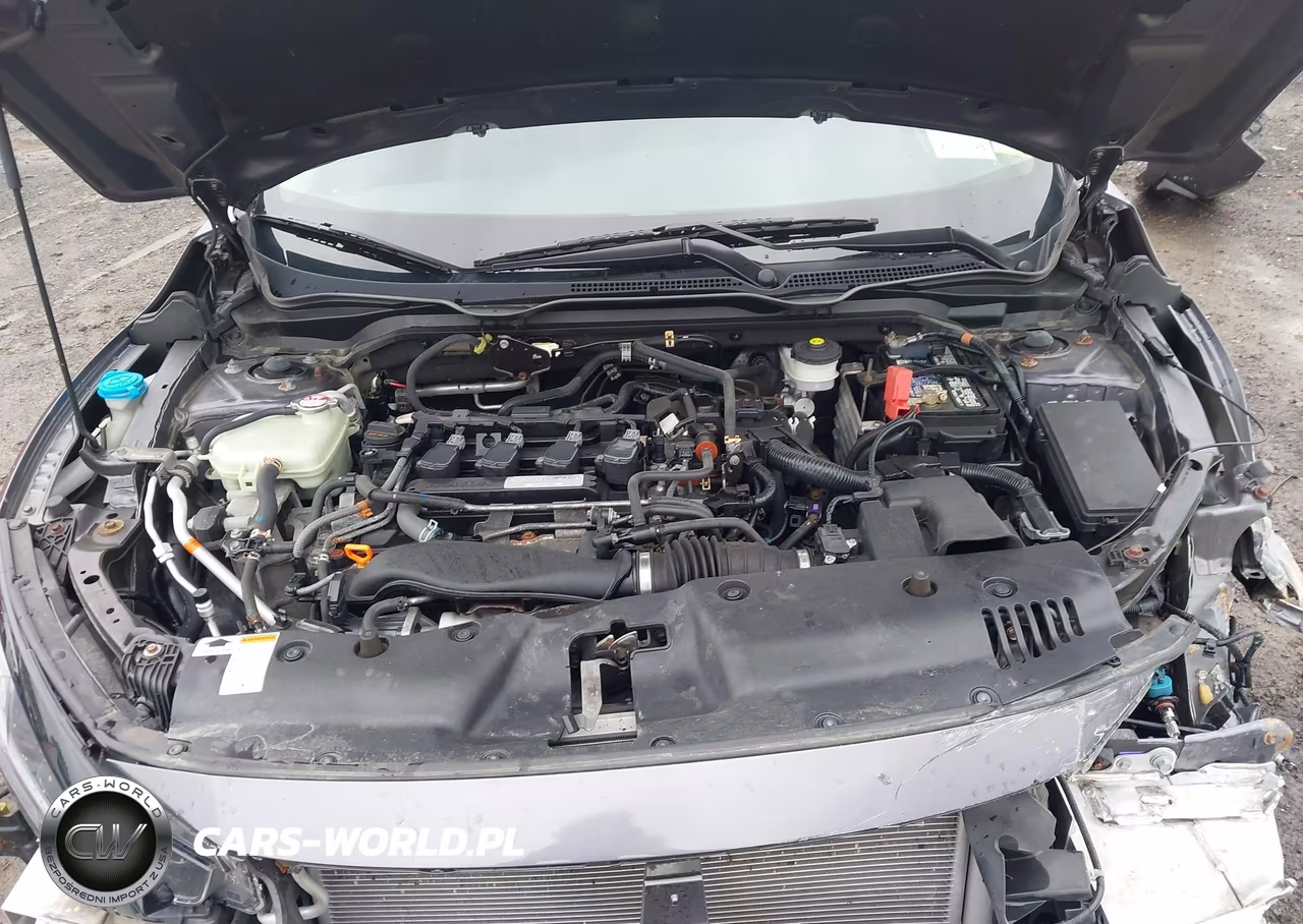 2020 Honda Civic Ex-L VIN:19XFC1F7XLE214372 - 10