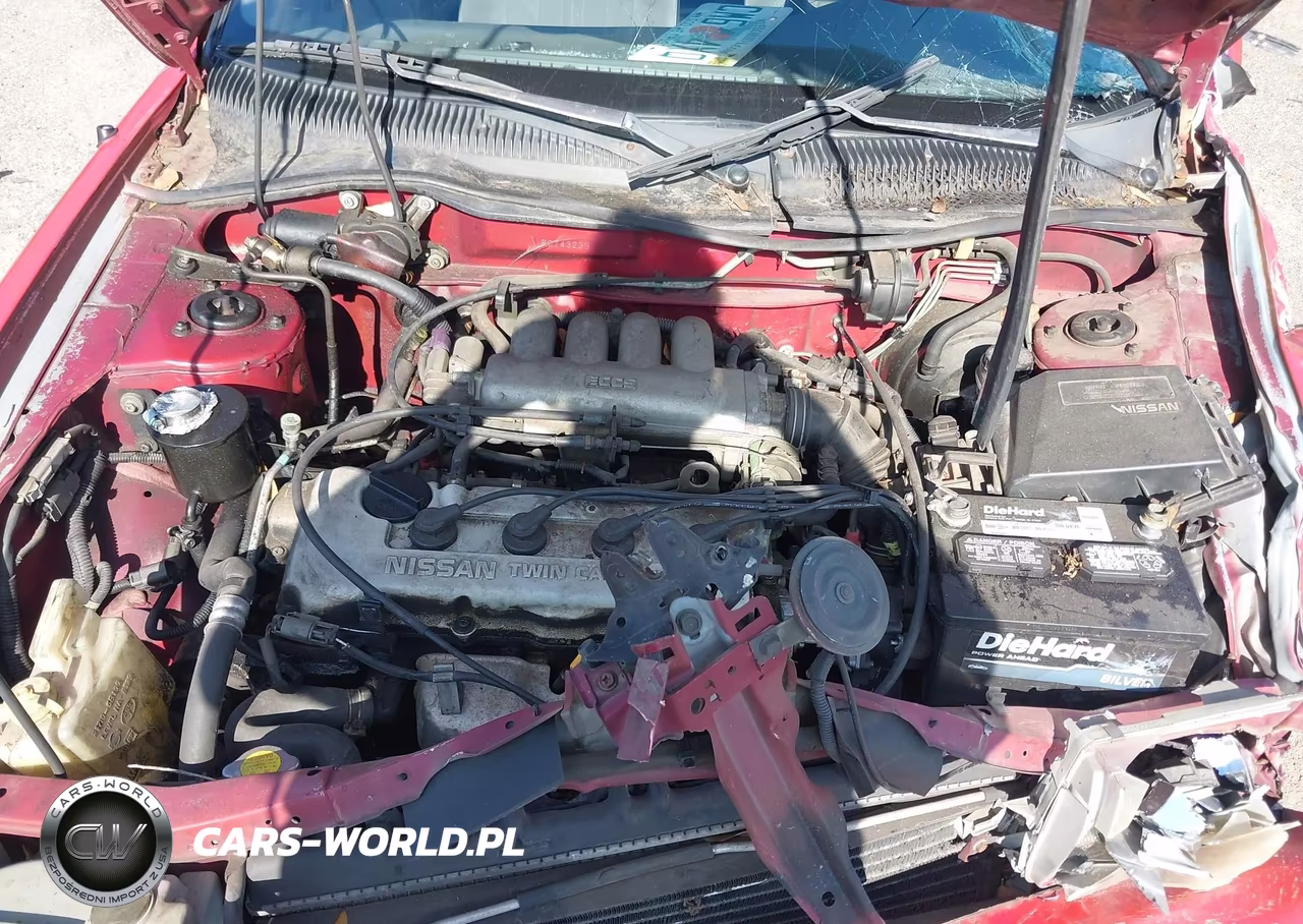 1994 Nissan Sentra E-Xe-Gxe-Le VIN:1N4EB31P2RC743239 - 10