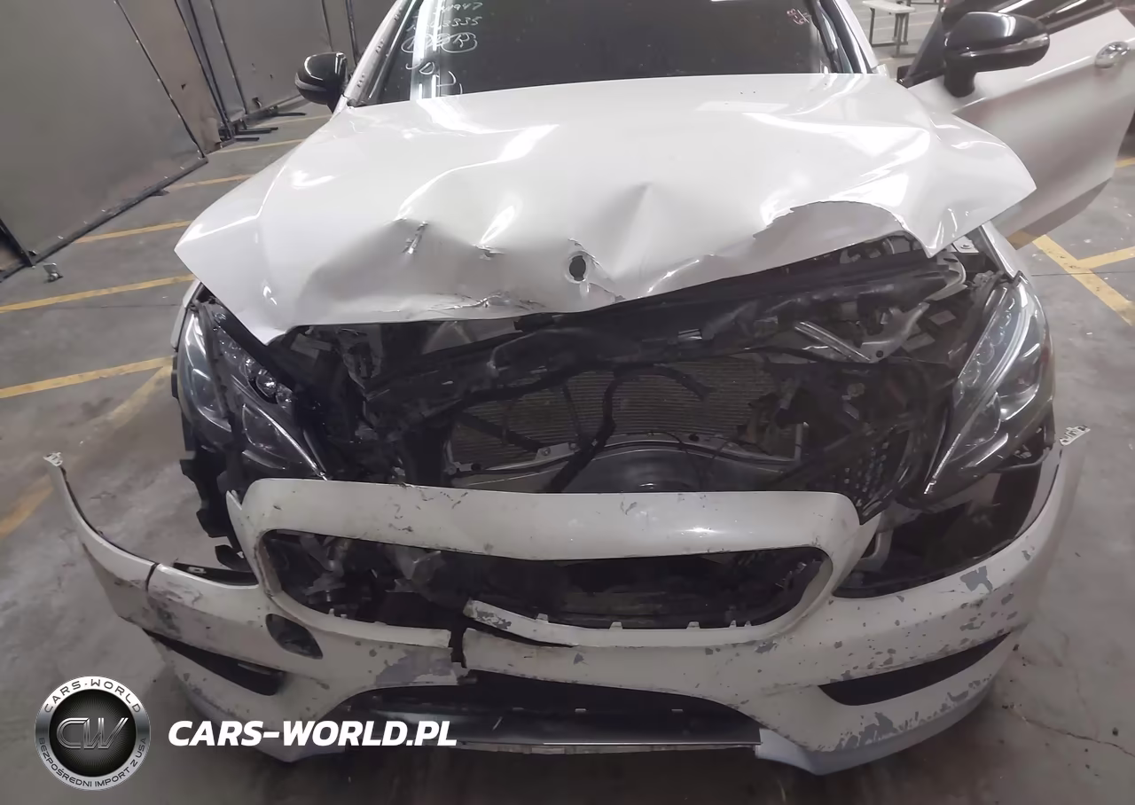 2018 Mercedes-Benz Amg C 43 4Matic VIN:WDDWJ6EB0JF663335 - 6