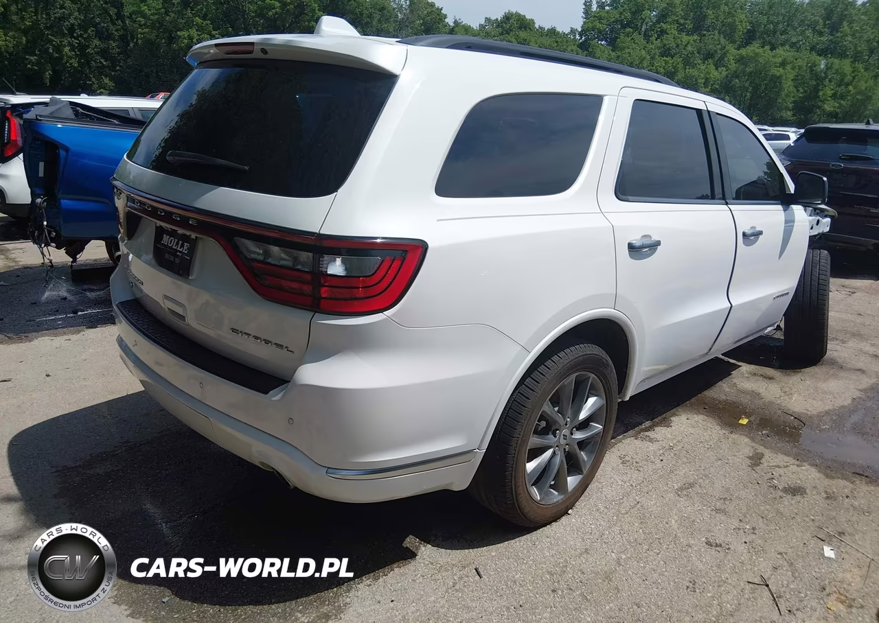 2020 Dodge Durango Citadel Anodized Platinum Awd VIN:1C4SDJET3LC192930 - 4
