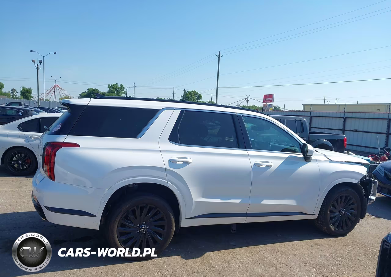 2025 Hyundai Palisade Calligraphy Night Edition VIN:KM8R7DGE2SU881397 - 13