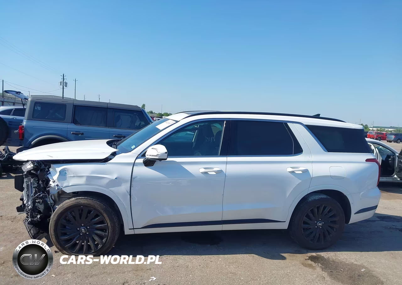 2025 Hyundai Palisade Calligraphy Night Edition VIN:KM8R7DGE2SU881397 - 14