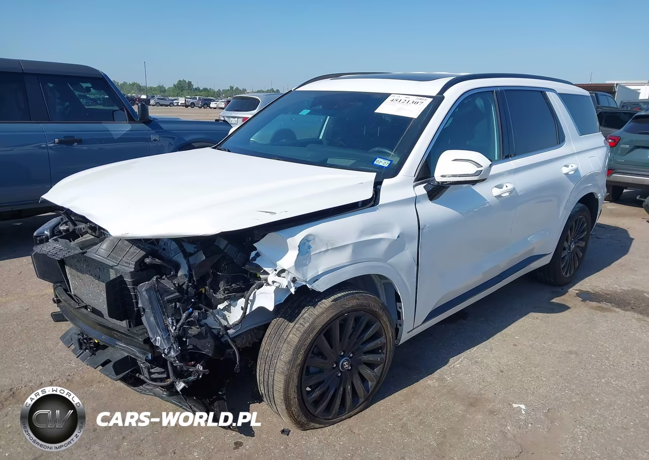 2025 Hyundai Palisade Calligraphy Night Edition VIN:KM8R7DGE2SU881397 - 2