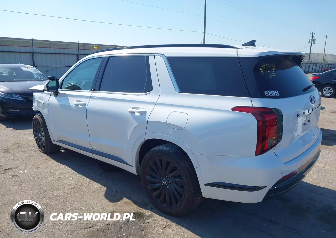 2025 Hyundai Palisade Calligraphy Night Edition VIN:KM8R7DGE2SU881397 - 3