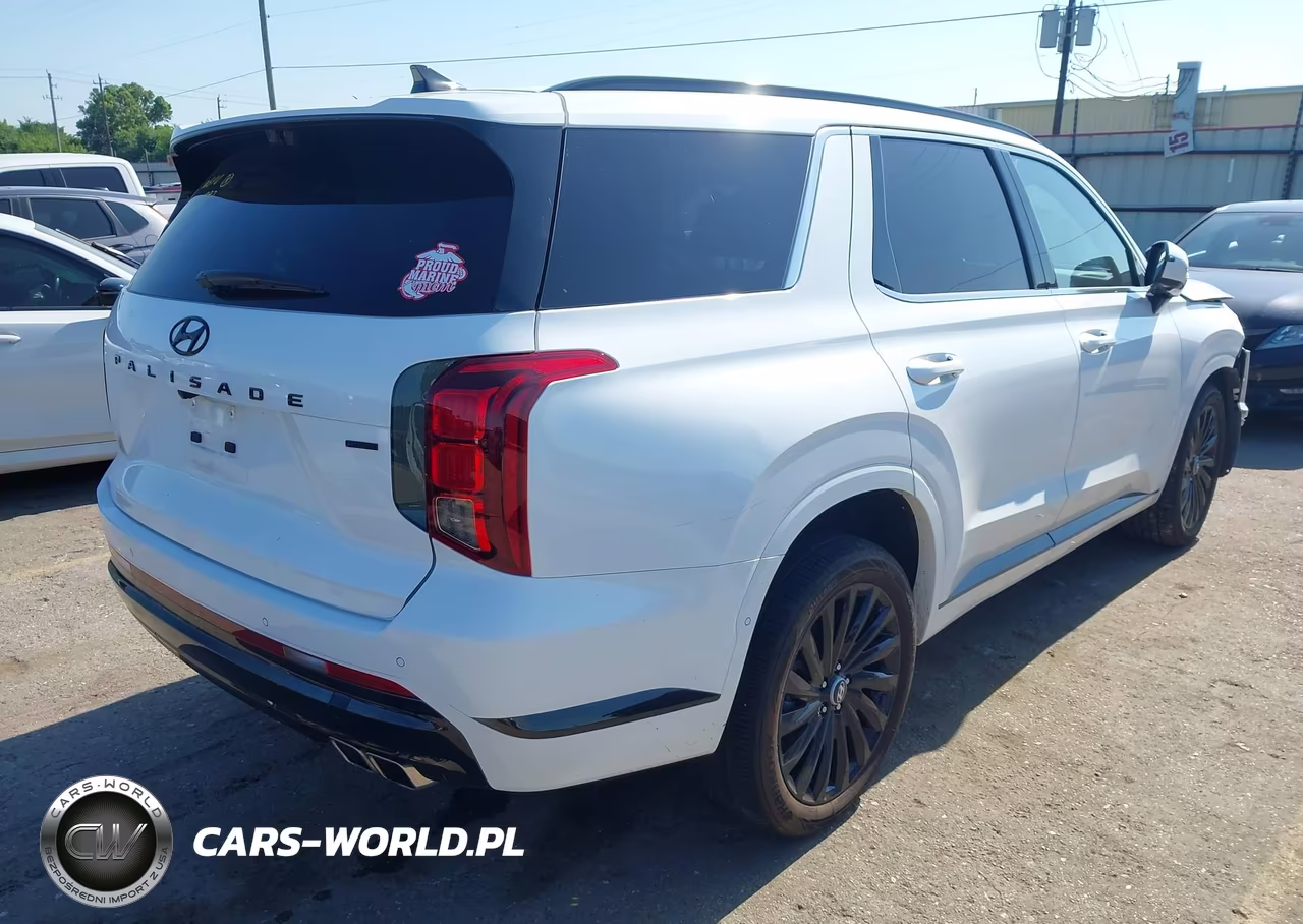 2025 Hyundai Palisade Calligraphy Night Edition VIN:KM8R7DGE2SU881397 - 4