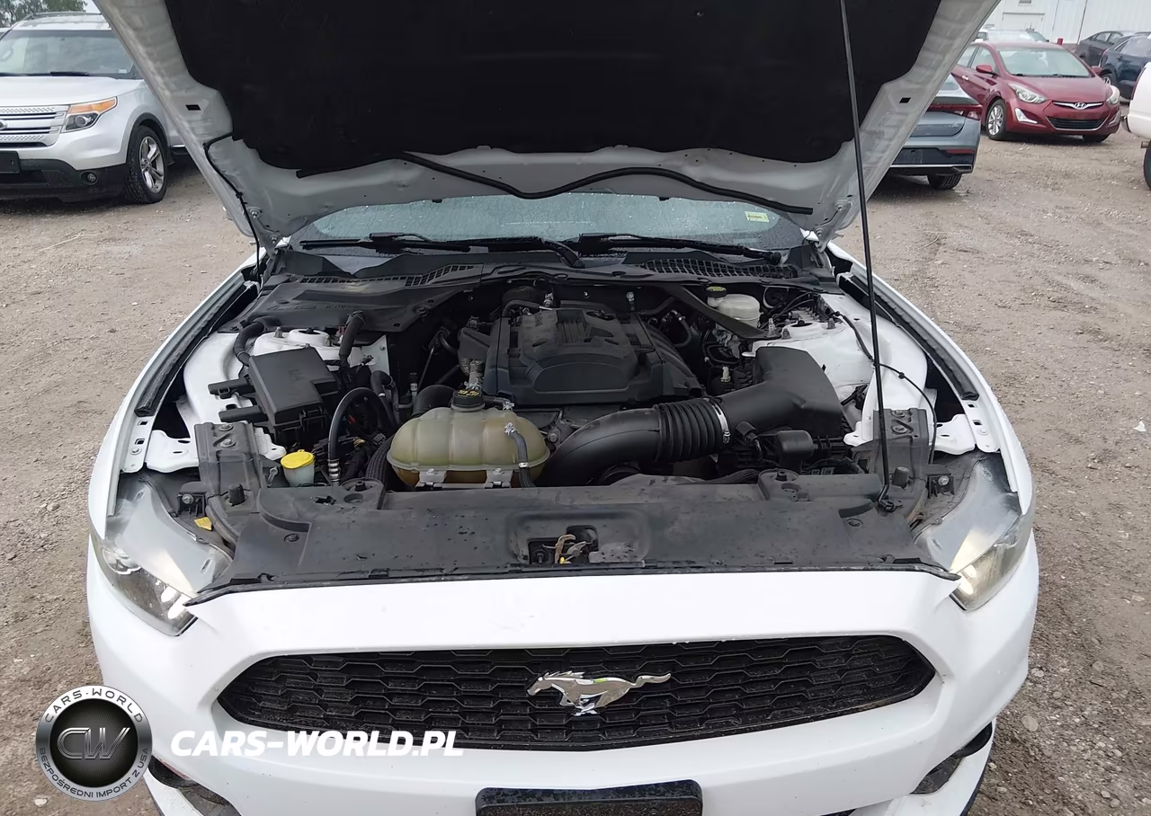 2017 Ford Mustang Ecoboost Premium VIN:1FATP8UH5H5254699 - 10