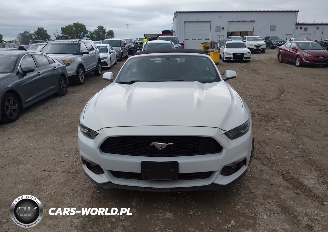 2017 Ford Mustang Ecoboost Premium VIN:1FATP8UH5H5254699 - 12
