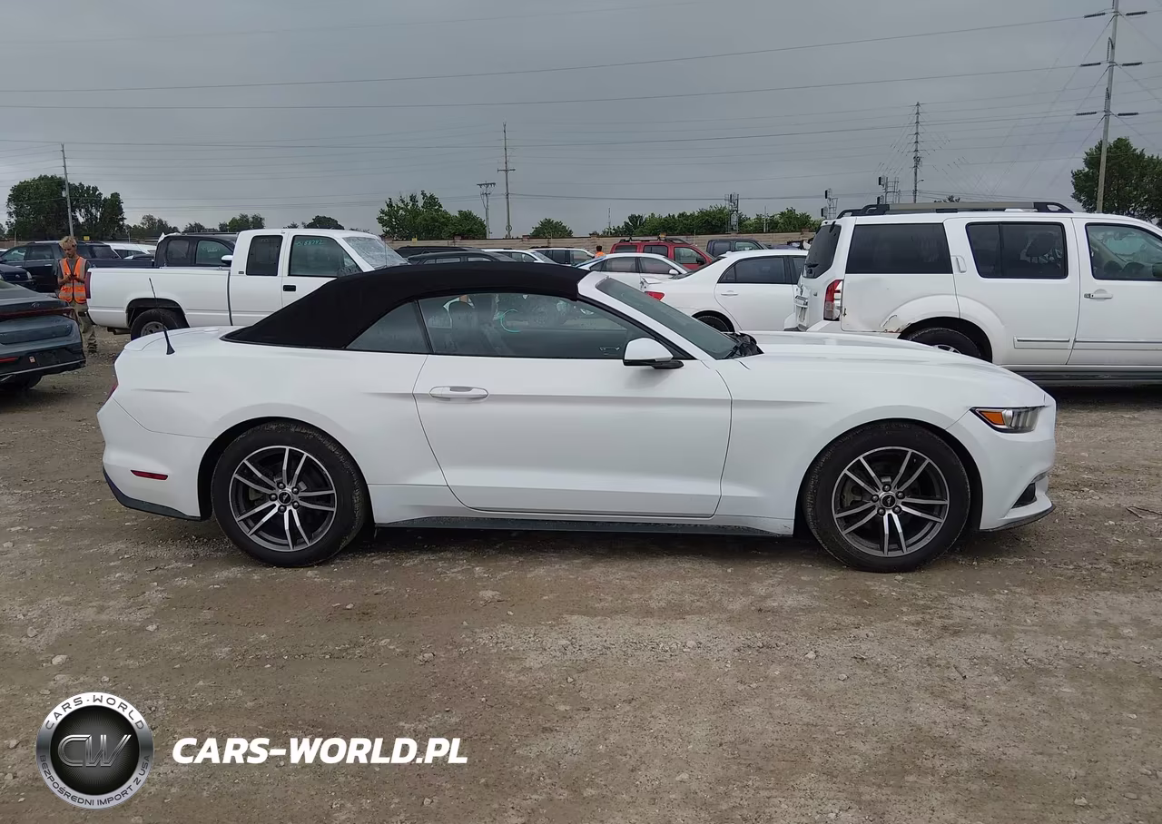 2017 Ford Mustang Ecoboost Premium VIN:1FATP8UH5H5254699 - 13