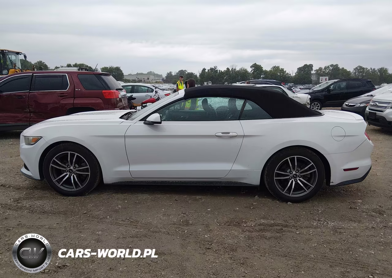 2017 Ford Mustang Ecoboost Premium VIN:1FATP8UH5H5254699 - 14