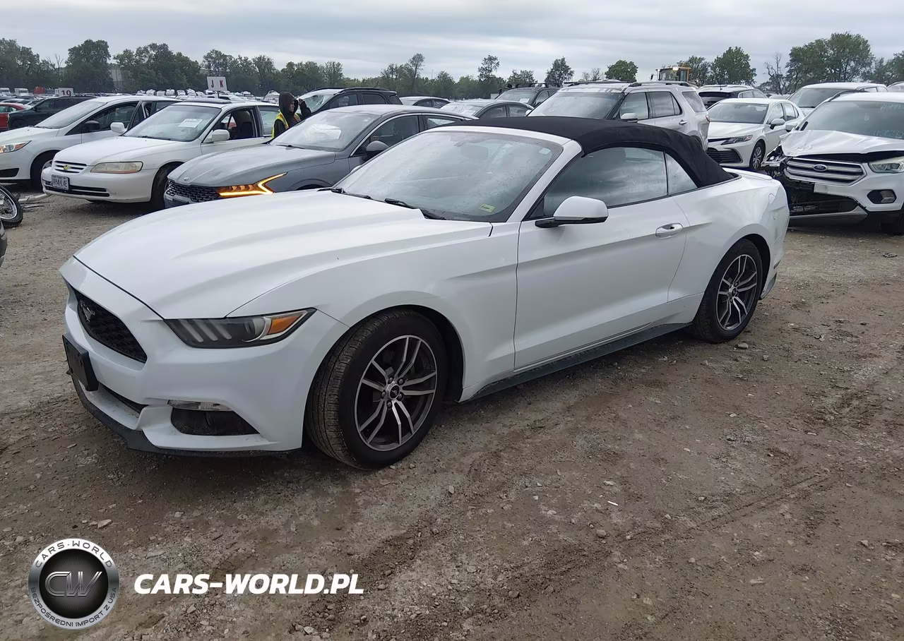 2017 Ford Mustang Ecoboost Premium VIN:1FATP8UH5H5254699 - 2