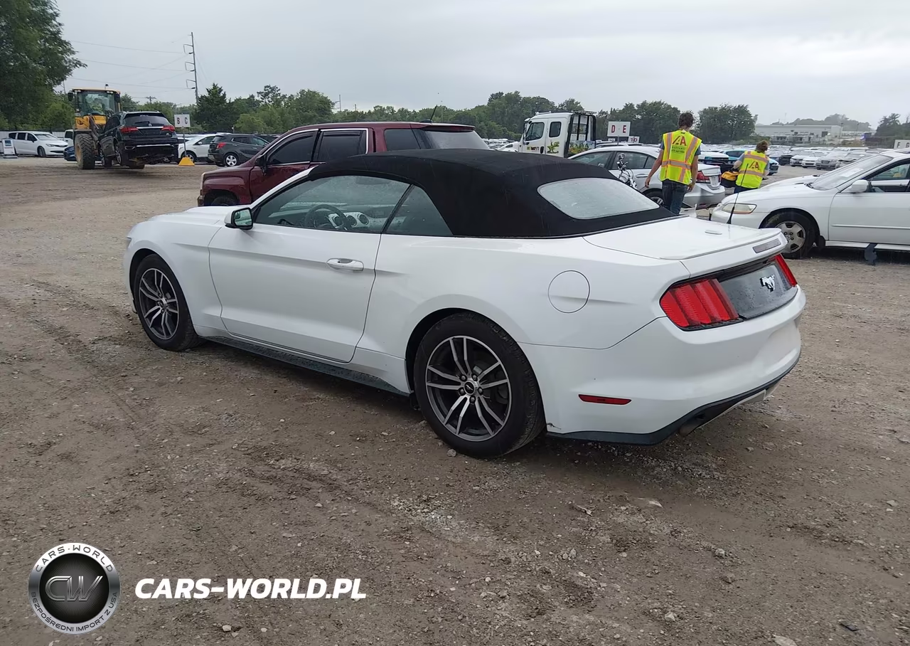 2017 Ford Mustang Ecoboost Premium VIN:1FATP8UH5H5254699 - 3