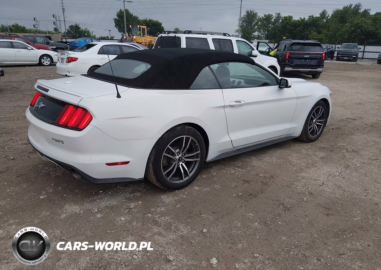2017 Ford Mustang Ecoboost Premium VIN:1FATP8UH5H5254699 - 4