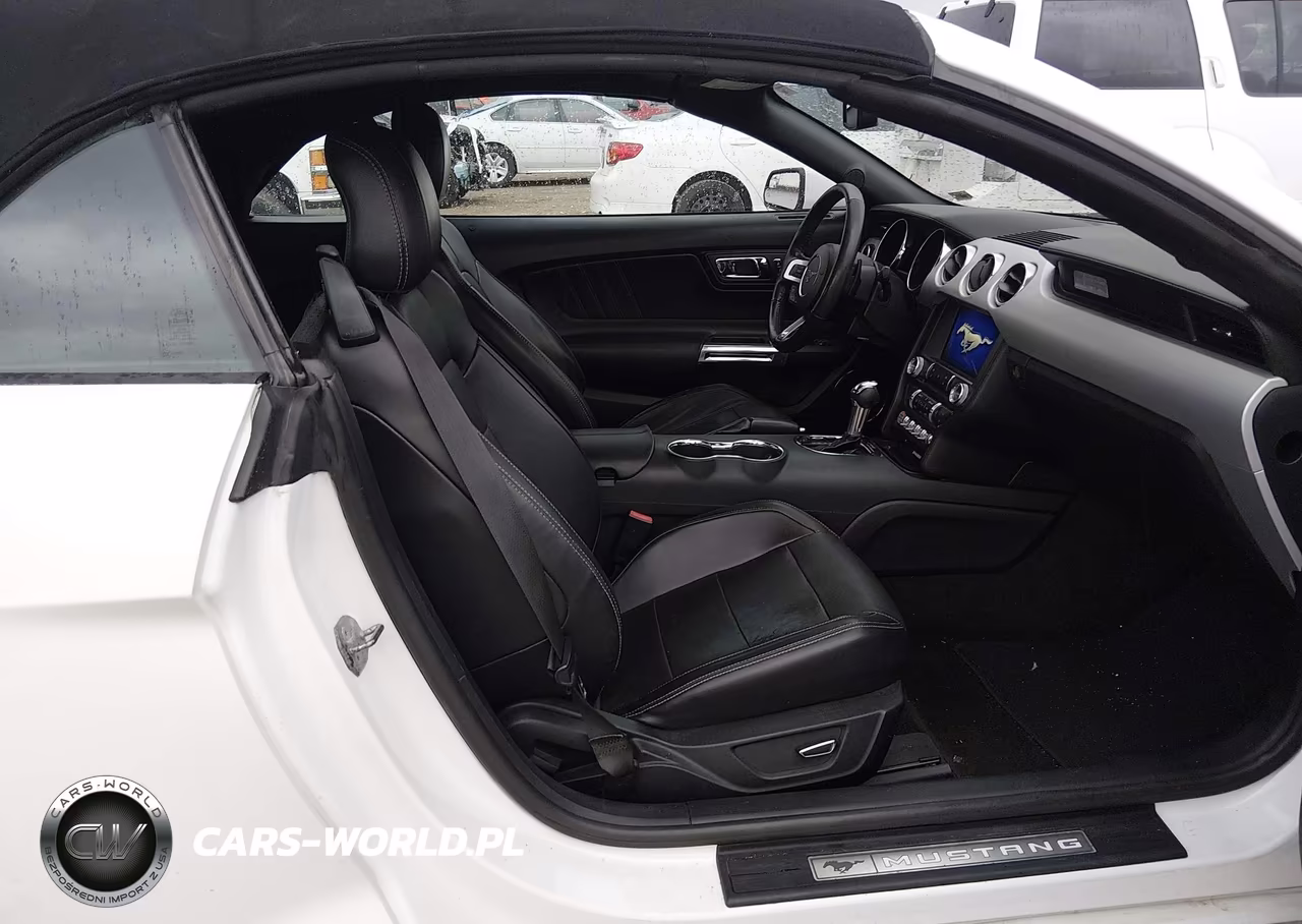 2017 Ford Mustang Ecoboost Premium VIN:1FATP8UH5H5254699 - 5