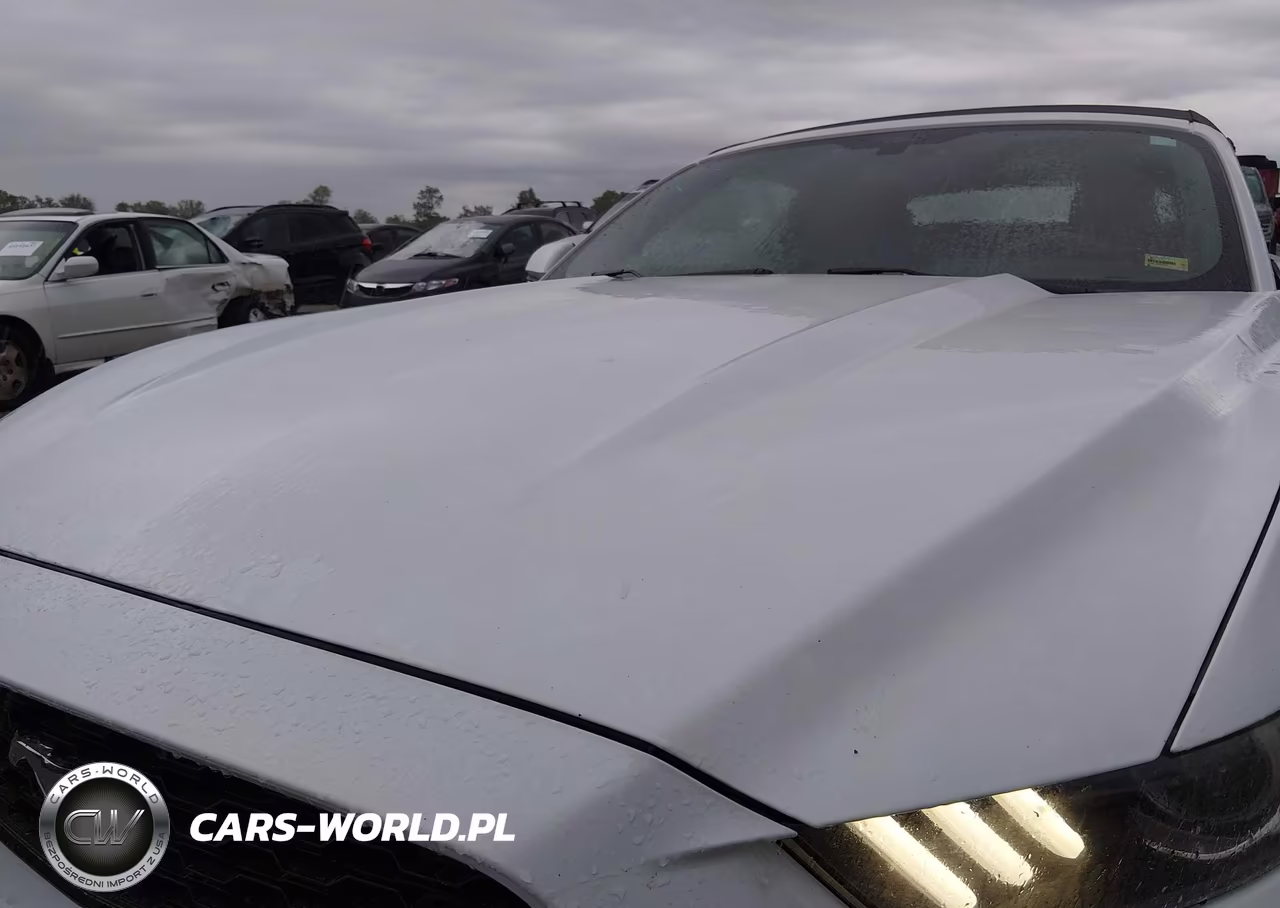 2017 Ford Mustang Ecoboost Premium VIN:1FATP8UH5H5254699 - 6
