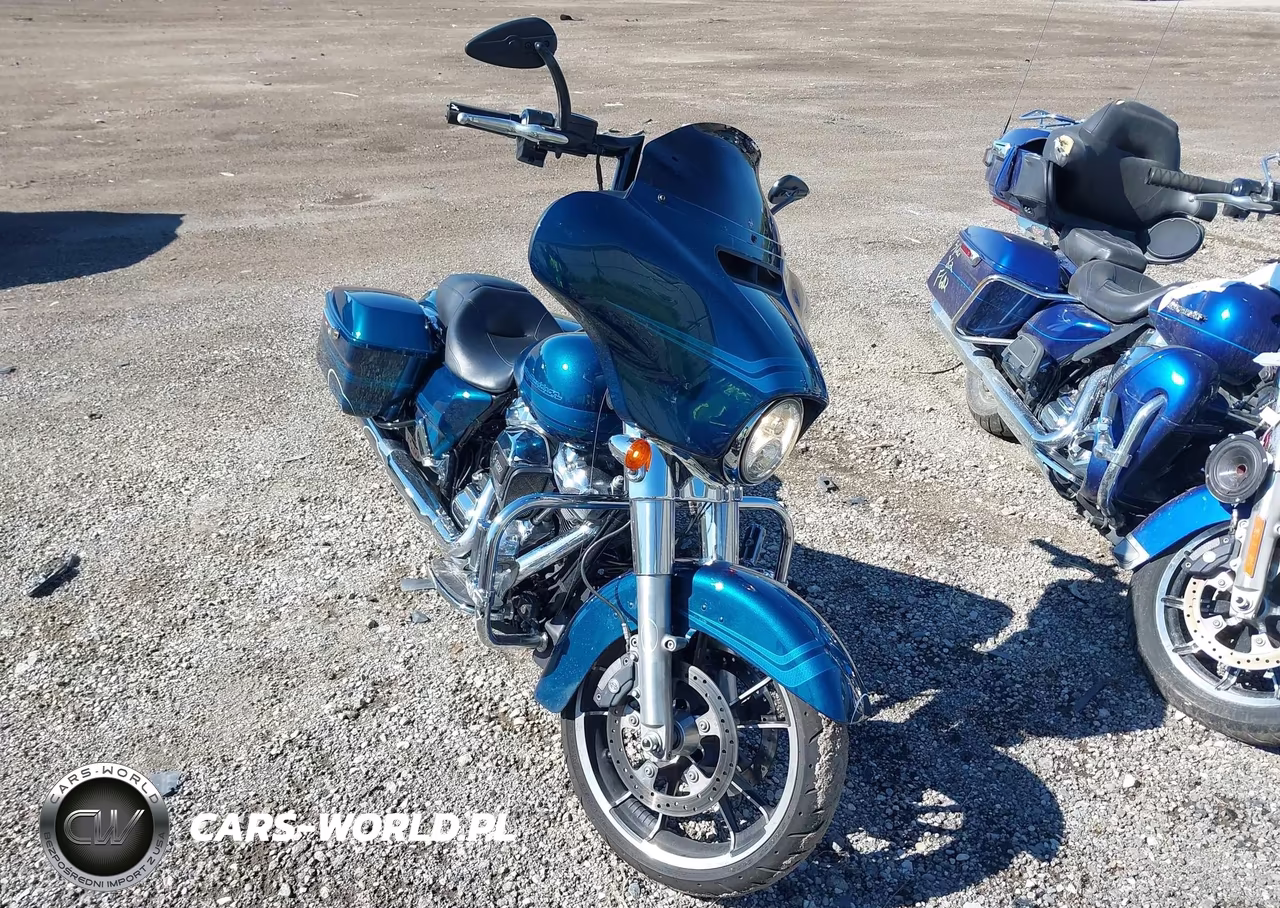 2020 Harley-Davidson Flhx