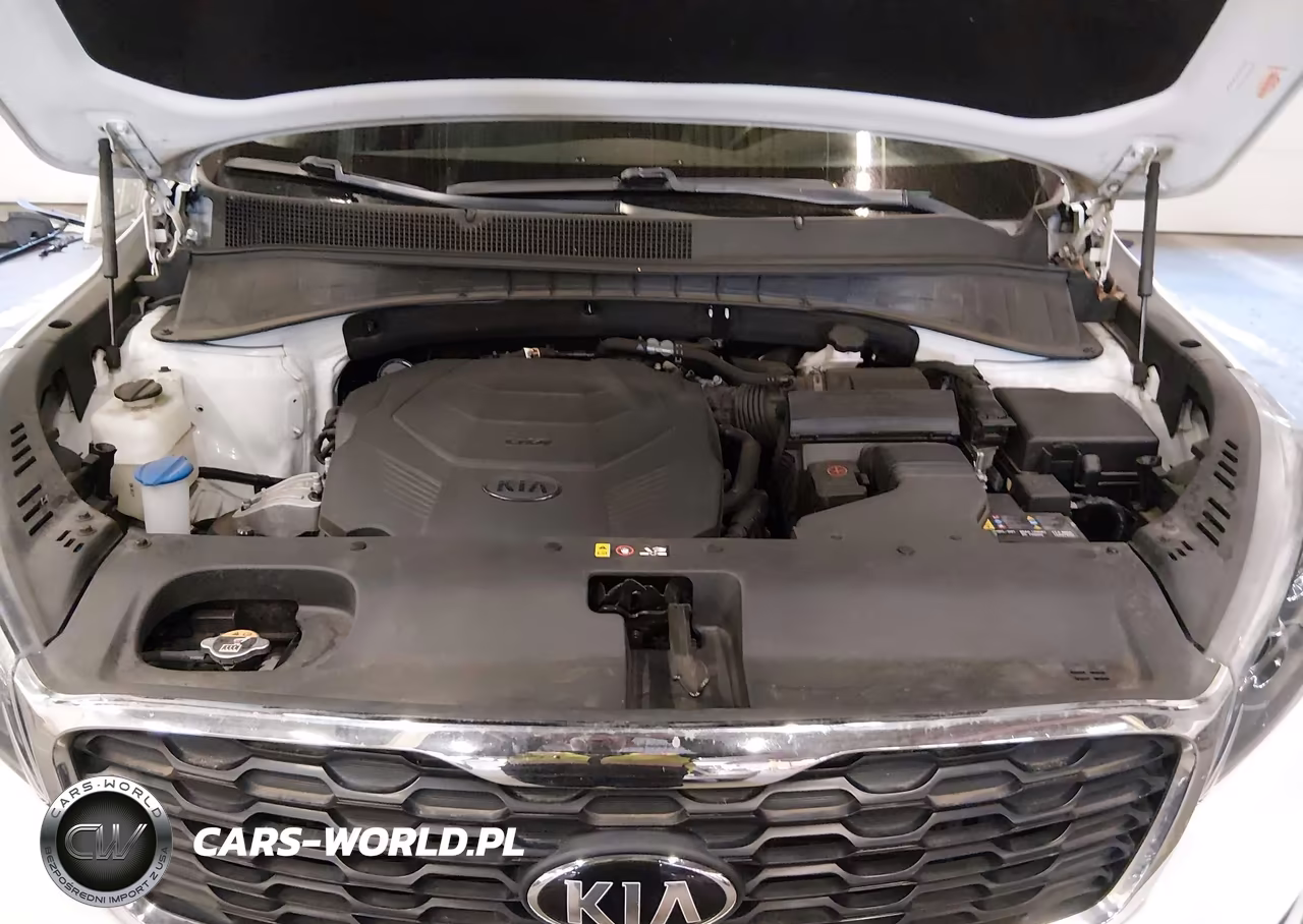 2019 Kia Sorento 3.3L S VIN:5XYPGDA56KG587247 - 10