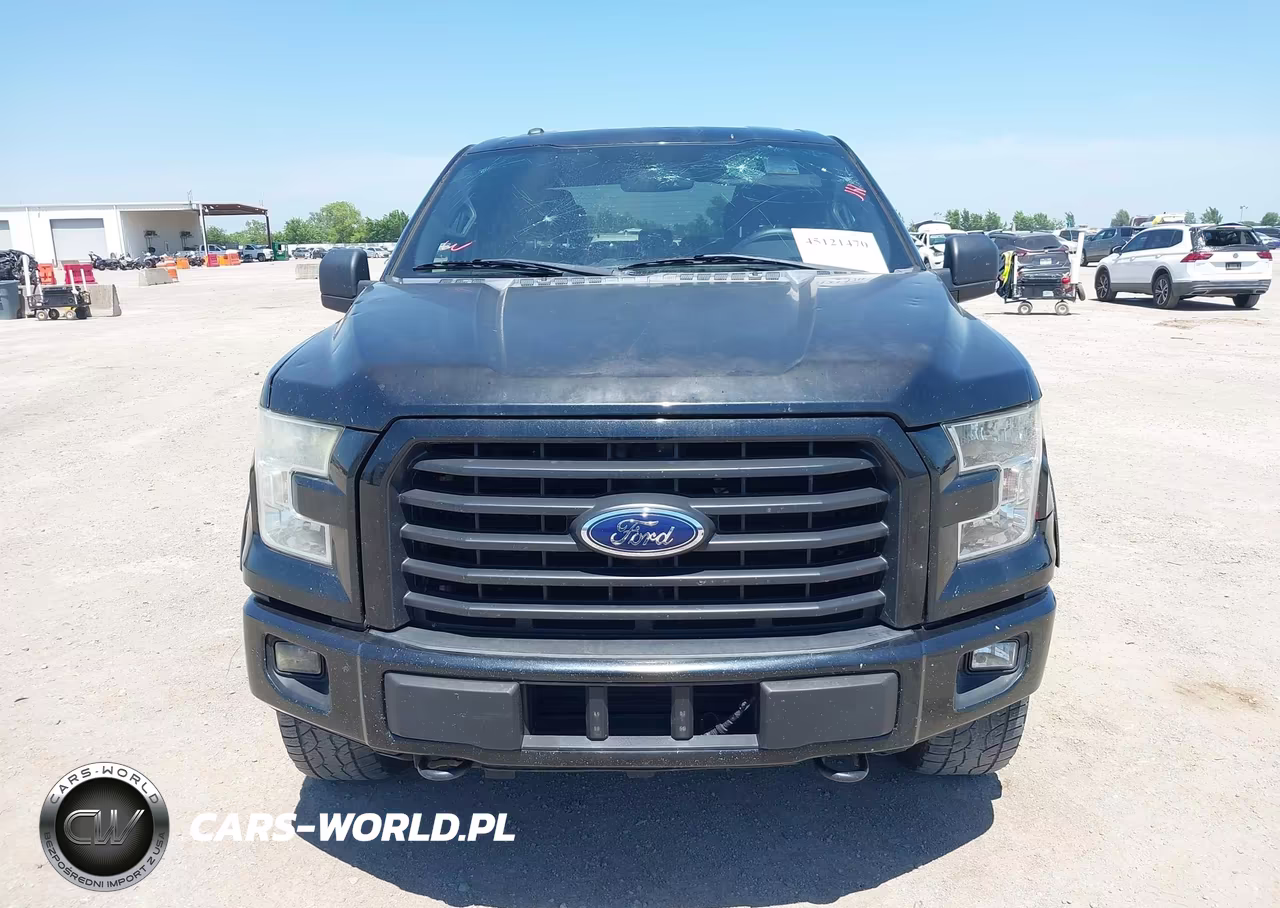 2015 Ford F-150 Xlt VIN:1FTEW1EGXFFB79735 - 12