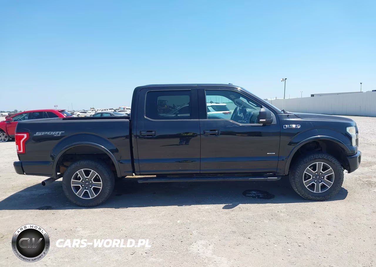2015 Ford F-150 Xlt VIN:1FTEW1EGXFFB79735 - 13