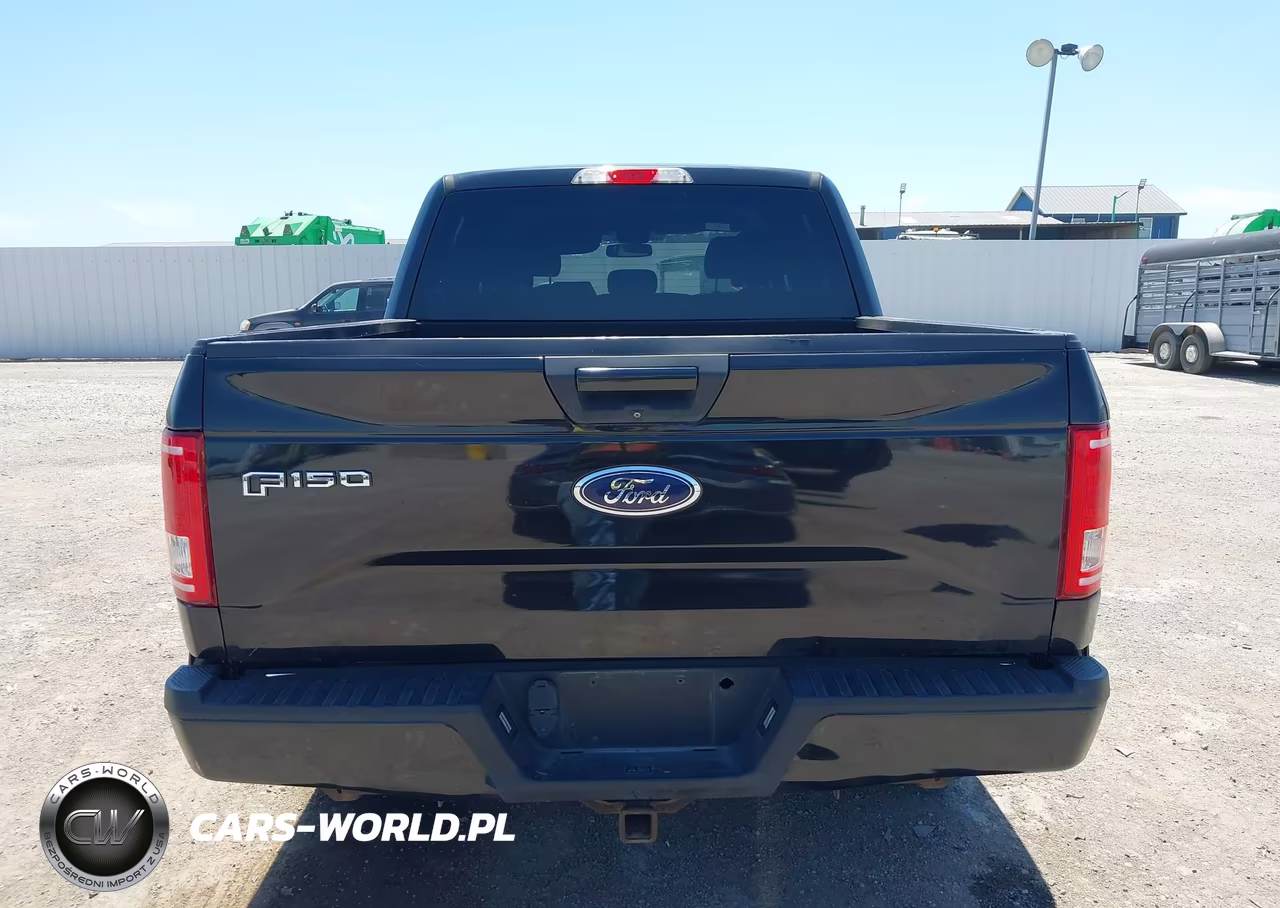 2015 Ford F-150 Xlt VIN:1FTEW1EGXFFB79735 - 16