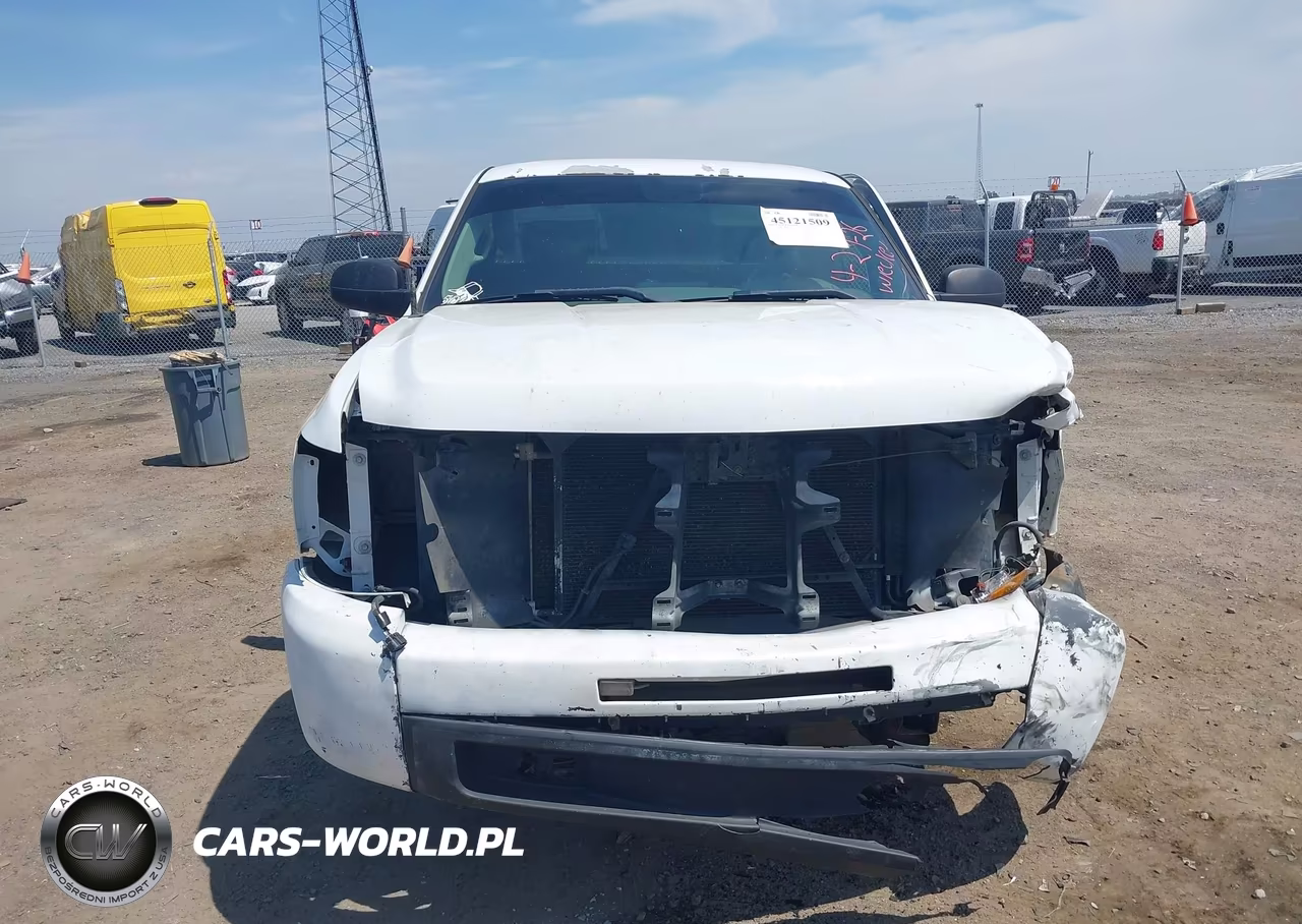 2012 Chevrolet Silverado 1500 Work Truck VIN:1GCNCPEA0CZ317994 - 12