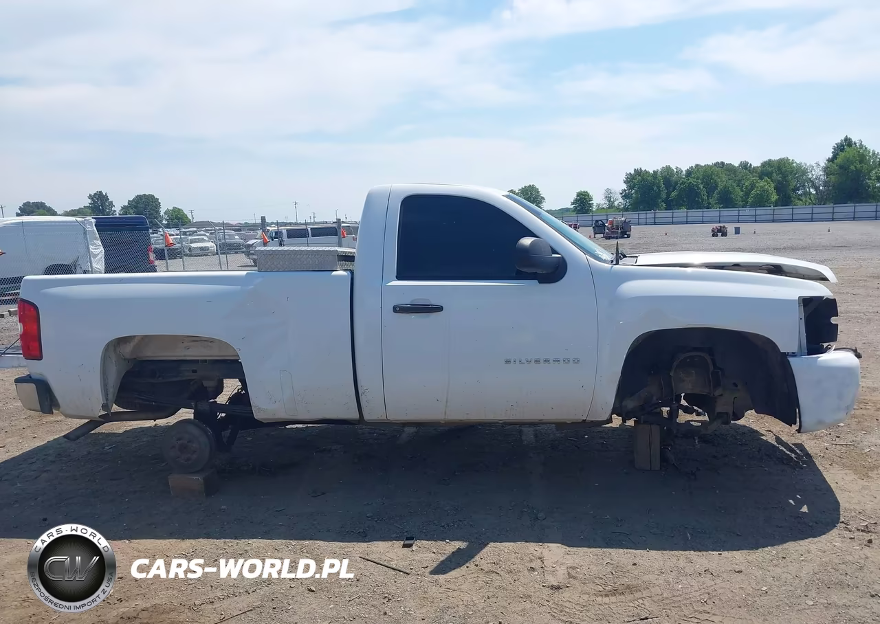 2012 Chevrolet Silverado 1500 Work Truck VIN:1GCNCPEA0CZ317994 - 13