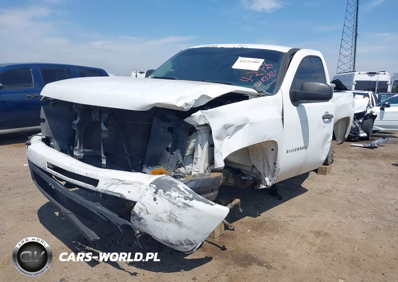 2012 Chevrolet Silverado 1500 Work Truck VIN:1GCNCPEA0CZ317994 - 19