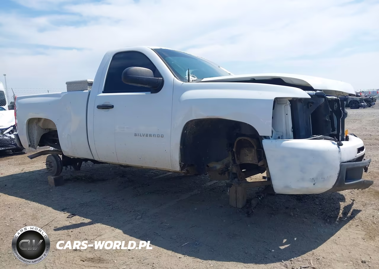 2012 Chevrolet Silverado 1500 Work Truck VIN:1GCNCPEA0CZ317994 - 21