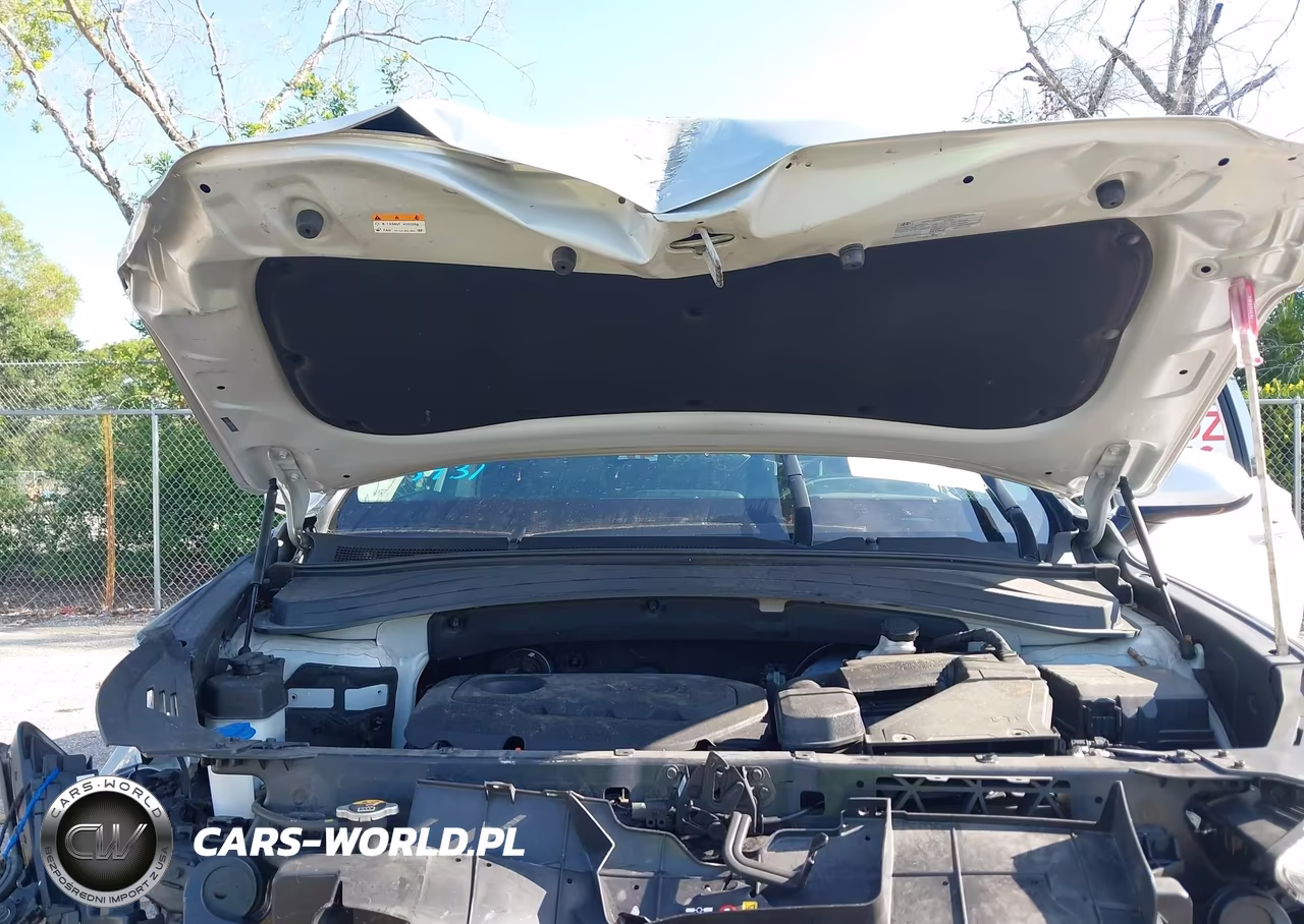 2019 Hyundai Santa Fe Sel VIN:5NMS33AD4KH038854 - 10