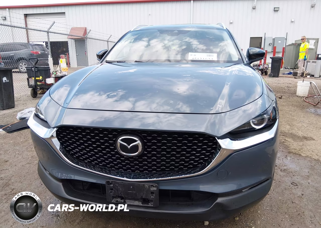 2023 Mazda Cx-30 2.5 S Carbon Edition VIN:3MVDMBCM3PM513703 - 12