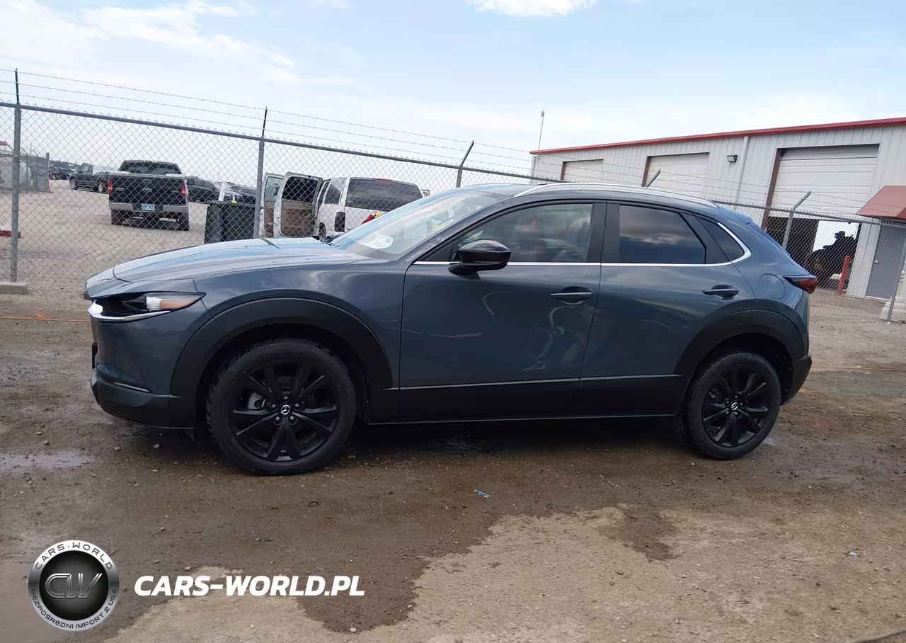 2023 Mazda Cx-30 2.5 S Carbon Edition VIN:3MVDMBCM3PM513703 - 14