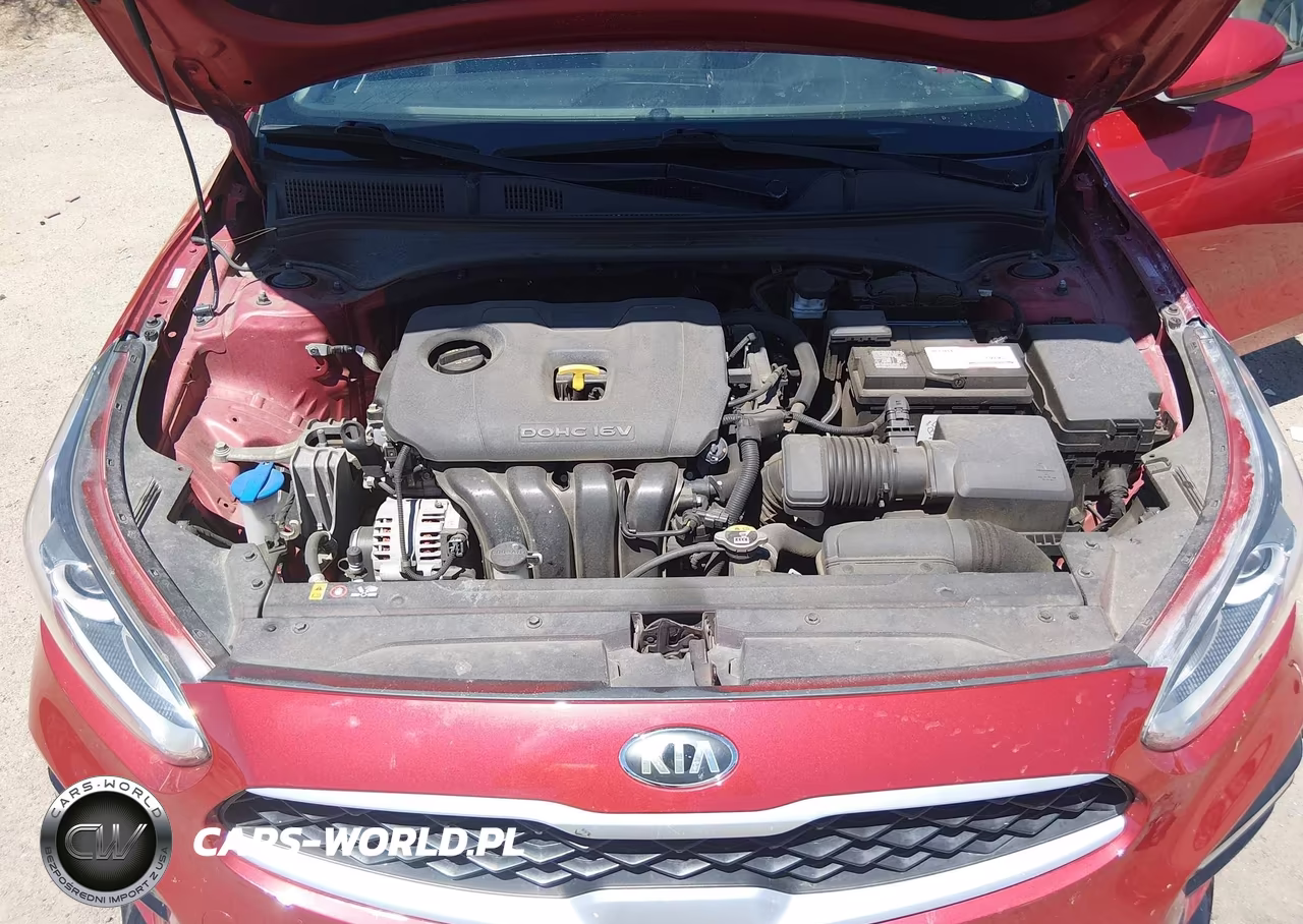2019 Kia Forte Lxs VIN:3KPF24AD3KE109396 - 10